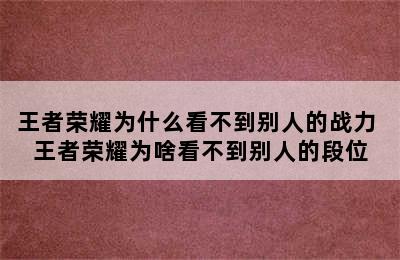 王者荣耀为什么看不到别人的战力 王者荣耀为啥看不到别人的段位